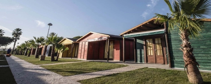 zobacz camping - zdjęcie 5