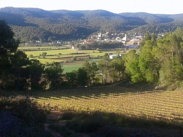 Camping Vilademàger - zdjęcie 3