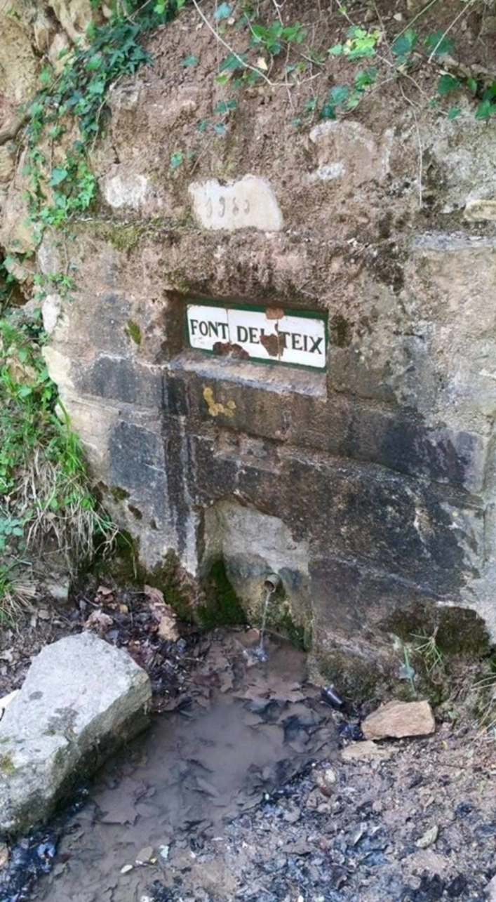 Camping Vilademàger - zdjęcie 2