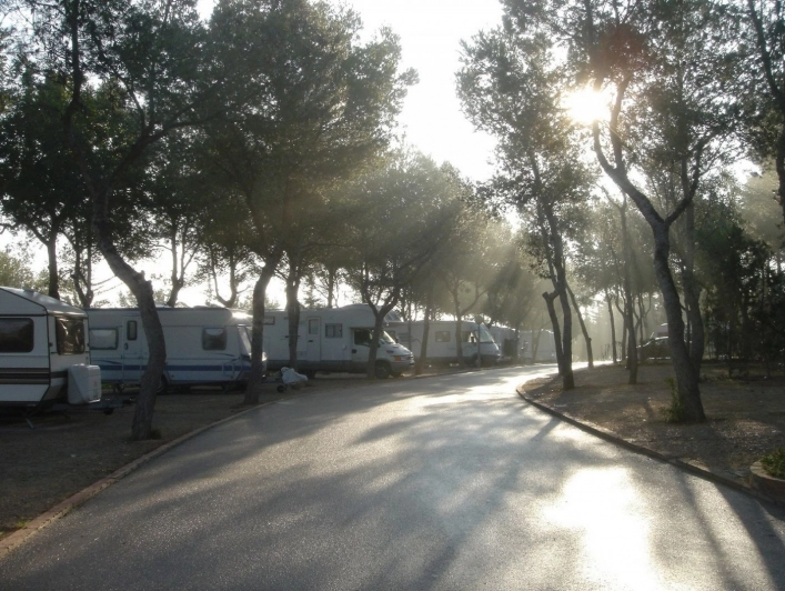 zobacz camping - zdjęcie 33