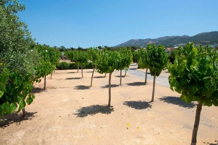 zobacz camping - zdjęcie 7