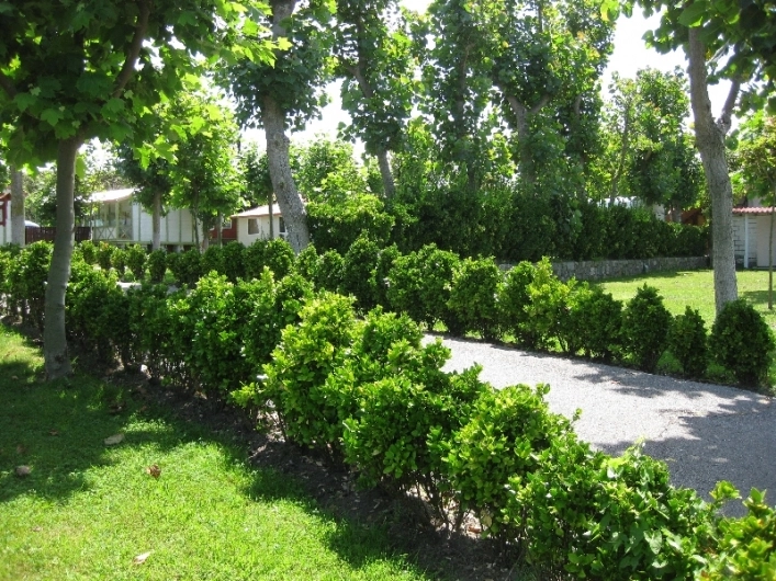 zobacz camping - zdjęcie 13