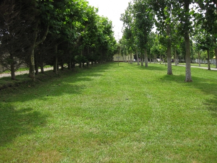 zobacz camping - zdjęcie 10