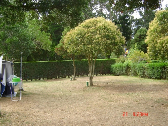 zobacz camping - zdjęcie 20