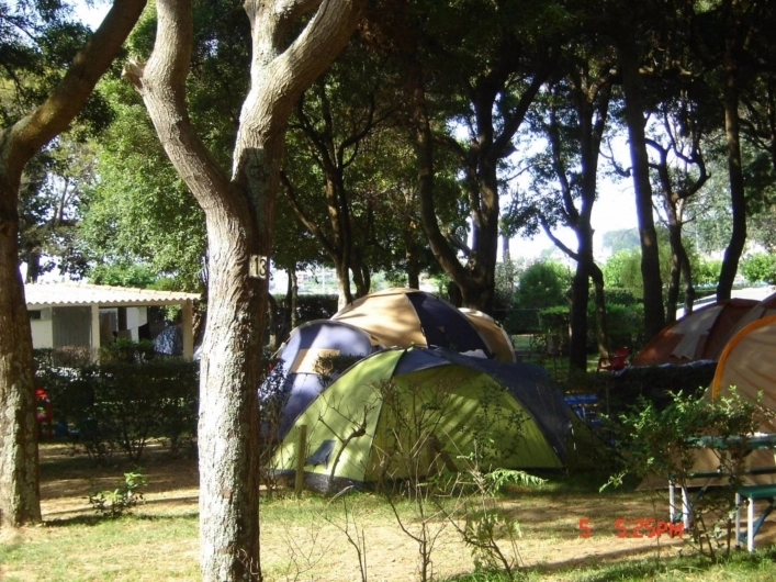 zobacz camping - zdjęcie 17