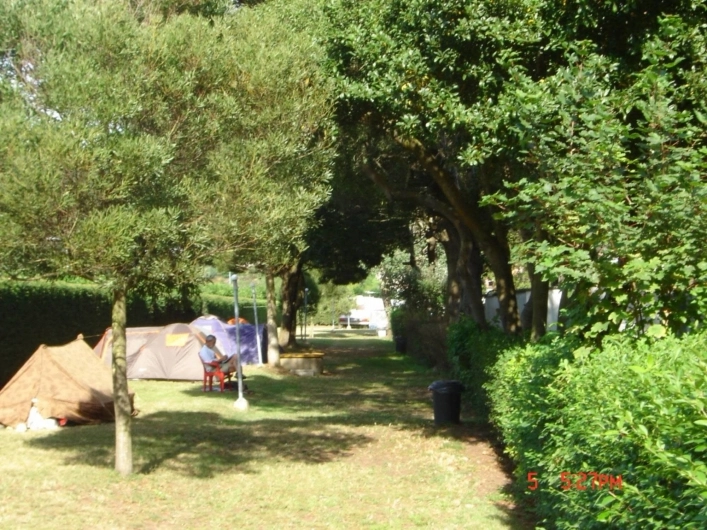 zobacz camping - zdjęcie 4