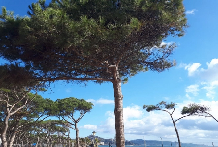 zobacz camping - zdjęcie 10