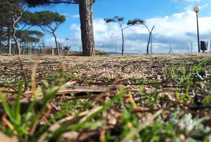 Camping Voramar - zdjęcie 1