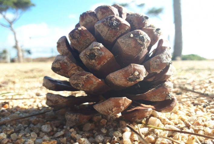 zobacz camping - zdjęcie 6