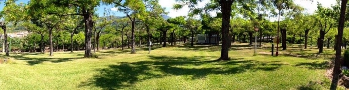 zobacz camping - zdjęcie 11