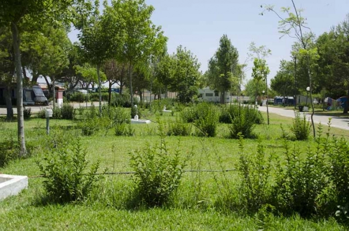 zobacz camping - zdjęcie 29