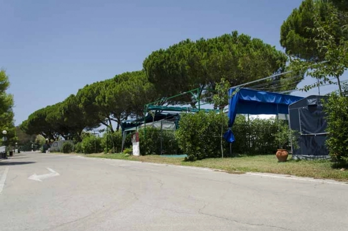 zobacz camping - zdjęcie 26