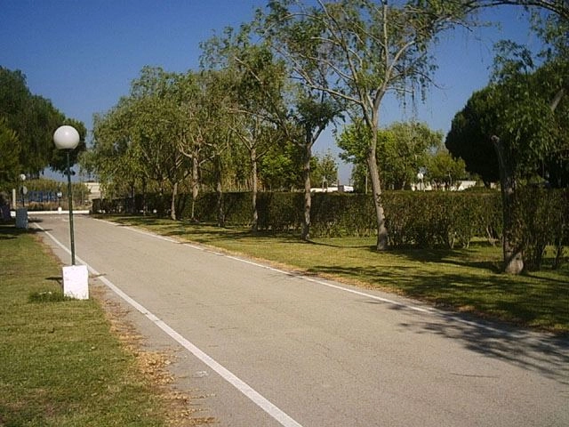 zobacz camping - zdjęcie 17