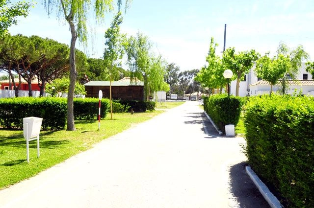 zobacz camping - zdjęcie 11