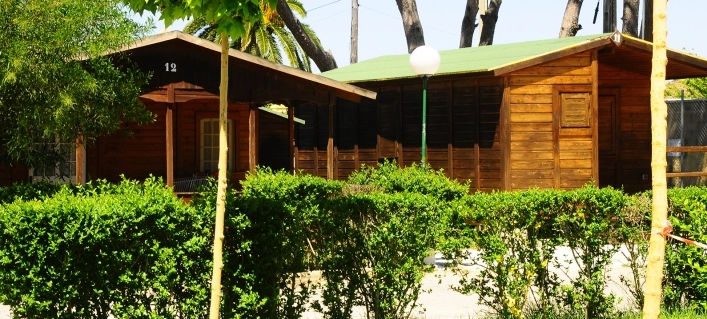 zobacz camping - zdjęcie 10