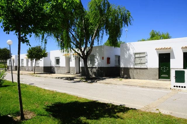 zobacz camping - zdjęcie 9