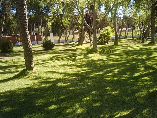 zobacz camping - zdjęcie 8