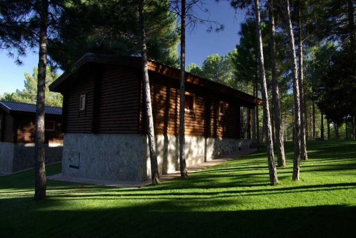 zobacz camping - zdjęcie 7