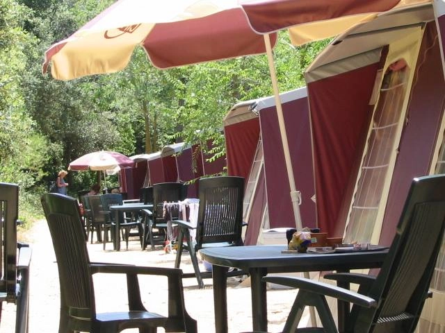 zobacz camping - zdjęcie 27