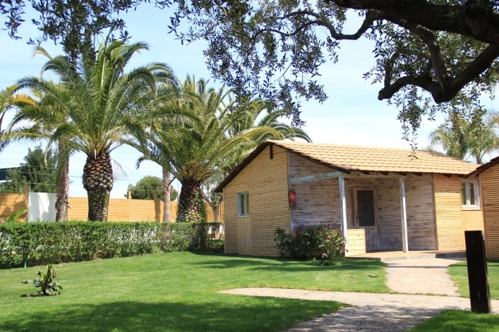 zobacz camping - zdjęcie 19