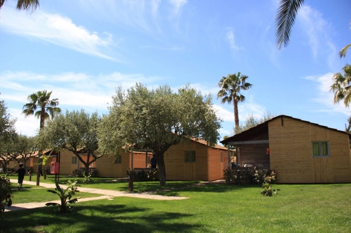 zobacz camping - zdjęcie 6