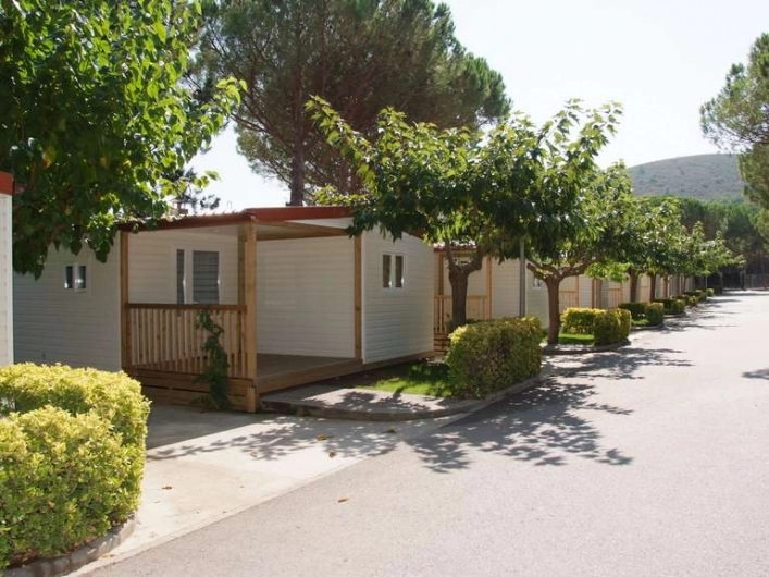 zobacz camping - zdjęcie 6