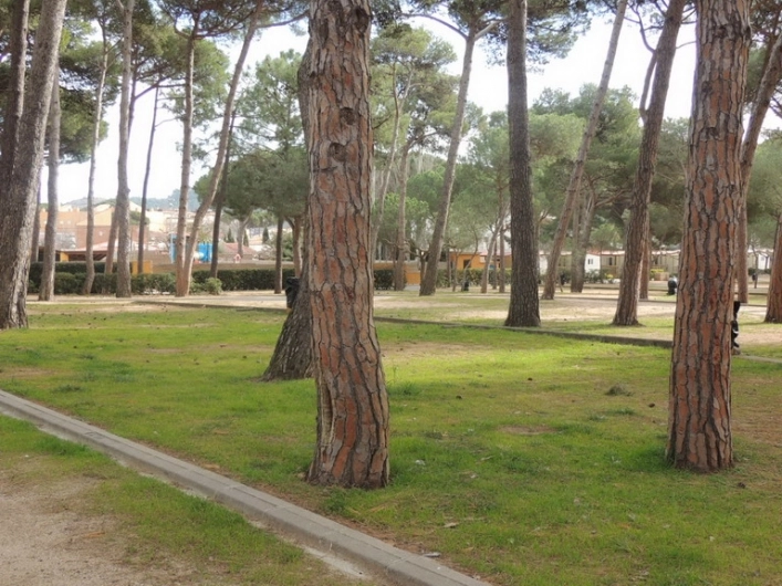 Illa Matteua Camping Resort - zdjęcie 4