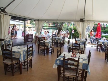 zobacz camping - zdjęcie 30