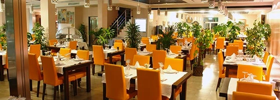 zobacz camping - zdjęcie 26