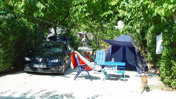 zobacz camping - zdjęcie 20