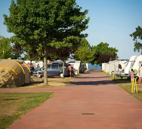 zobacz camping - zdjęcie 25