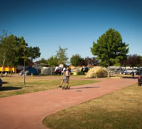 zobacz camping - zdjęcie 21