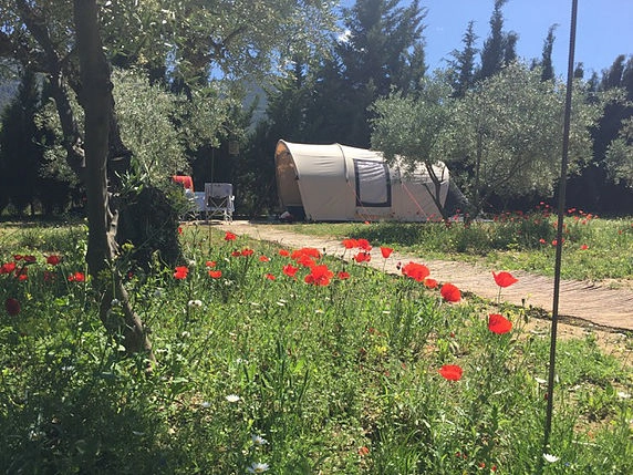 Mini-camping Ardalejo - zdjęcie 2