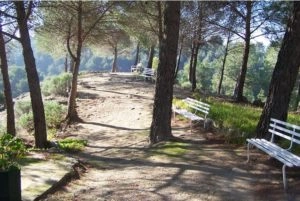 zobacz camping - zdjęcie 7