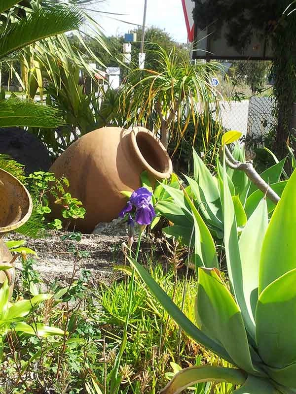 zobacz camping - zdjęcie 30