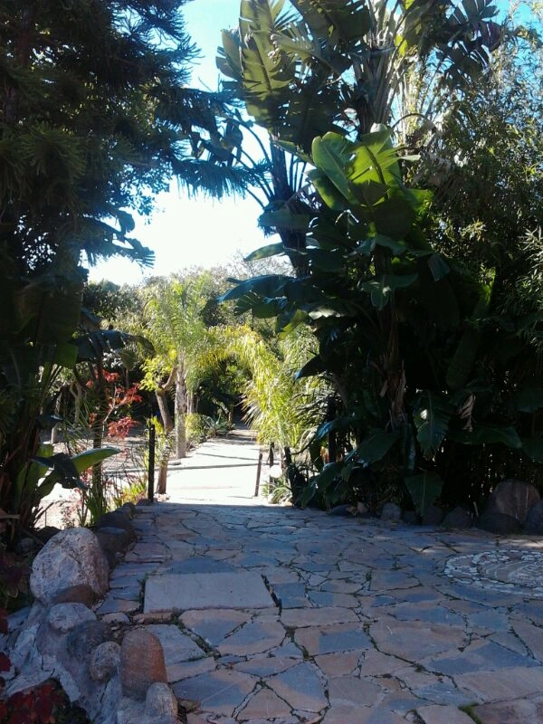 zobacz camping - zdjęcie 28