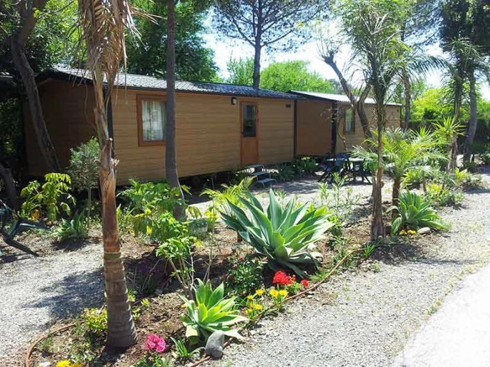 zobacz camping - zdjęcie 27