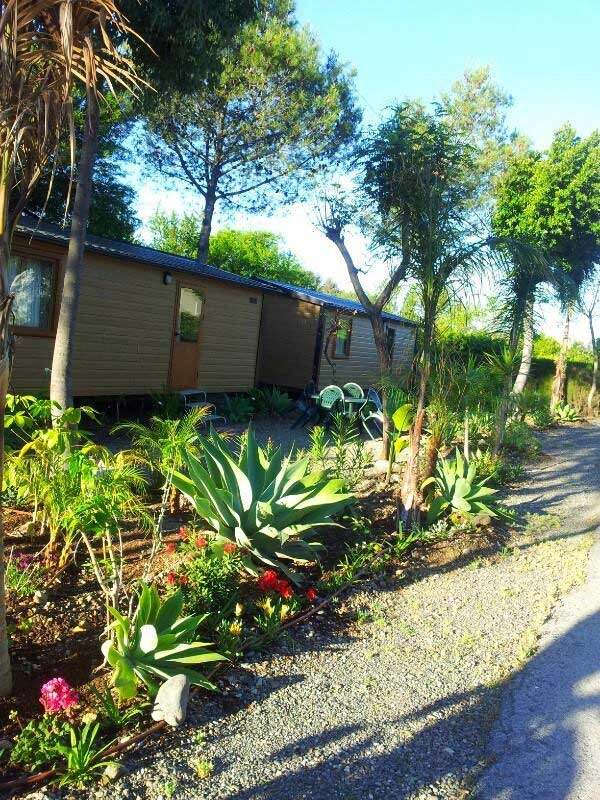 zobacz camping - zdjęcie 15