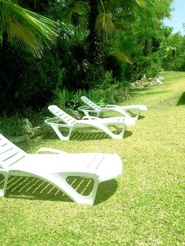 zobacz camping - zdjęcie 12