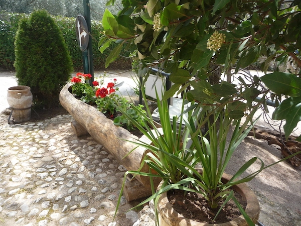 zobacz camping - zdjęcie 31