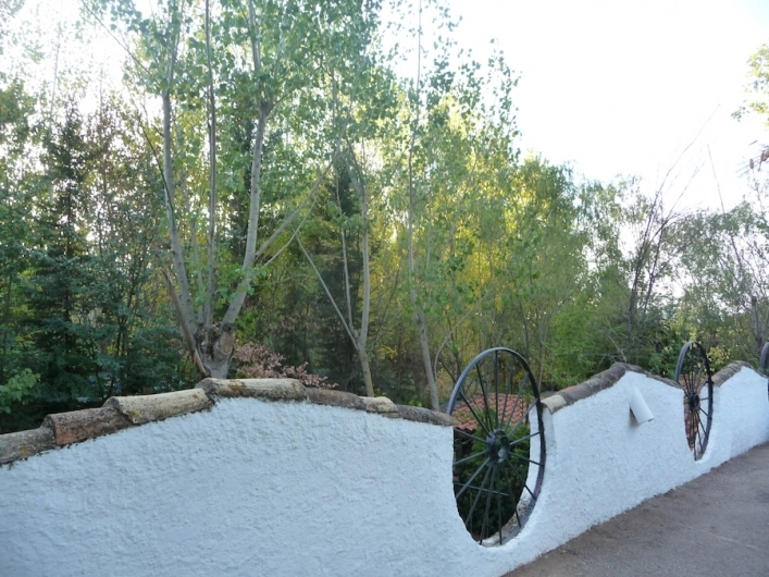 zobacz camping - zdjęcie 29