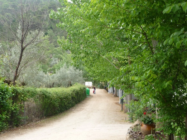 zobacz camping - zdjęcie 26