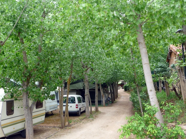 zobacz camping - zdjęcie 12