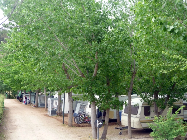 zobacz camping - zdjęcie 9