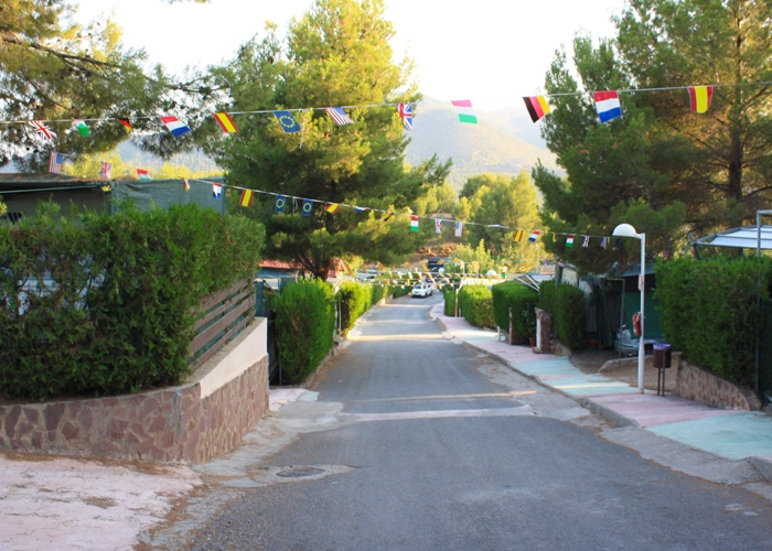 zobacz camping - zdjęcie 23