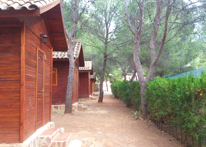 zobacz camping - zdjęcie 14