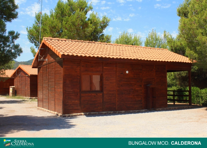 zobacz camping - zdjęcie 4