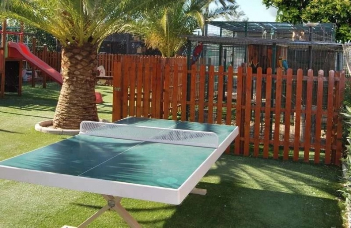 zobacz camping - zdjęcie 24