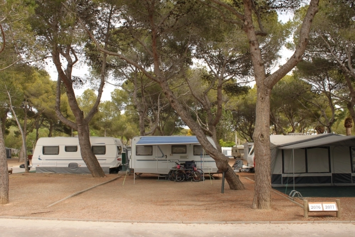 zobacz camping - zdjęcie 28