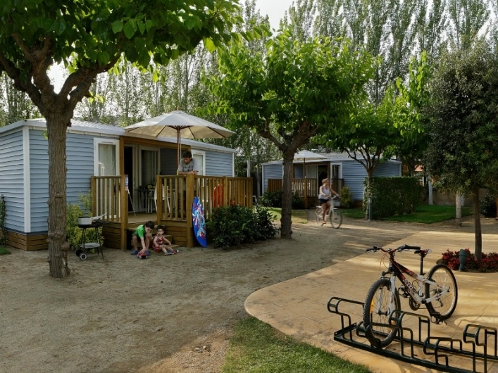 zobacz camping - zdjęcie 26